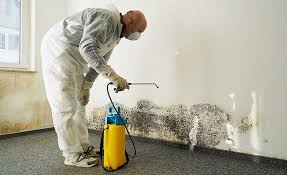 Emerald Lakes, PA Mold Prevention & Removal  Company