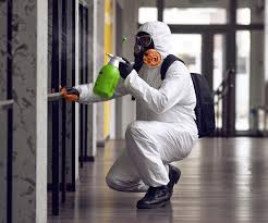 Why You Should Choose Our Mold Remediation Services in Emerald Lakes, PA